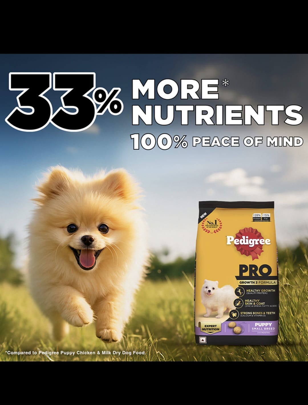 Pedigree Pro Puppy Small Breed Dog Dry Food