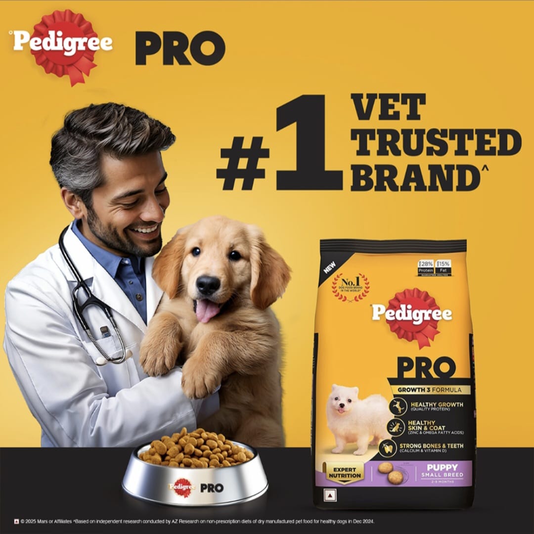 Pedigree Pro Puppy Small Breed Dog Dry Food
