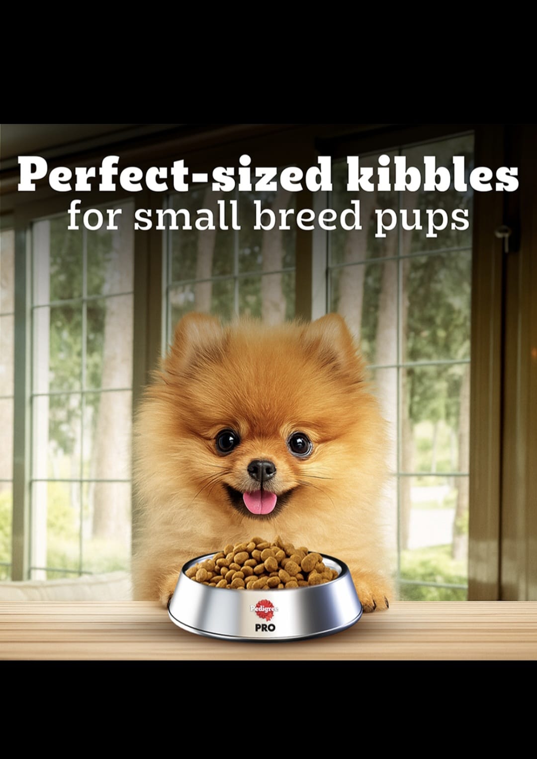 Pedigree Pro Puppy Small Breed Dog Dry Food