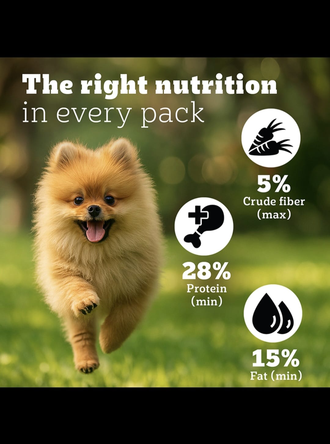 Pedigree Pro Puppy Small Breed Dog Dry Food