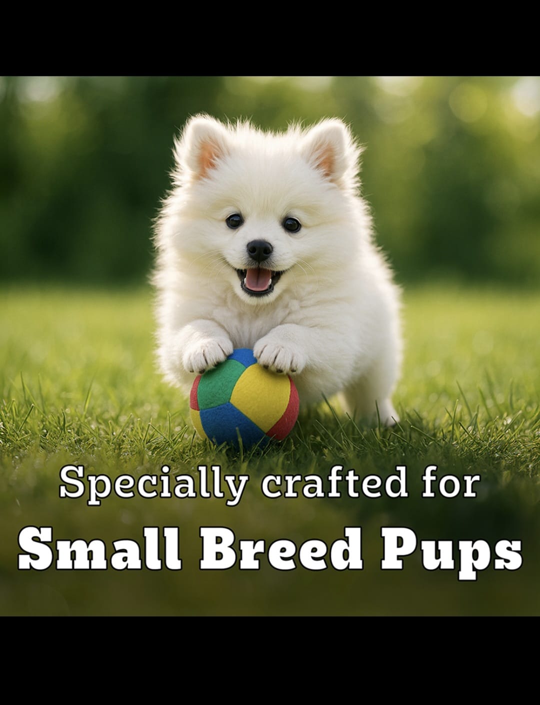 Pedigree Pro Puppy Small Breed Dog Dry Food