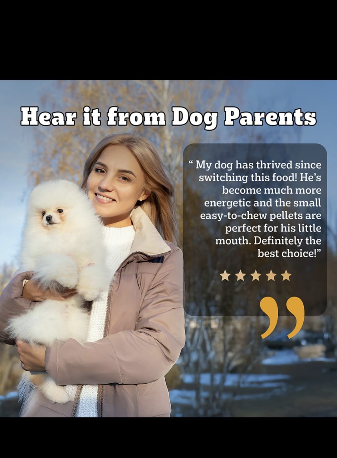 Pedigree Pro Puppy Small Breed Dog Dry Food