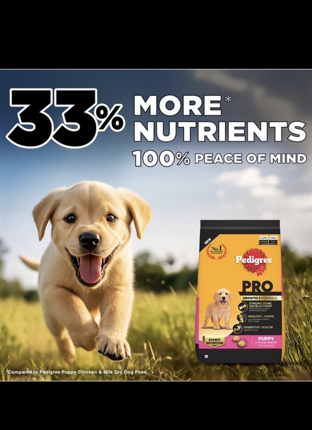 Pedigree Pro Puppy Large Breed Dog Dry Food