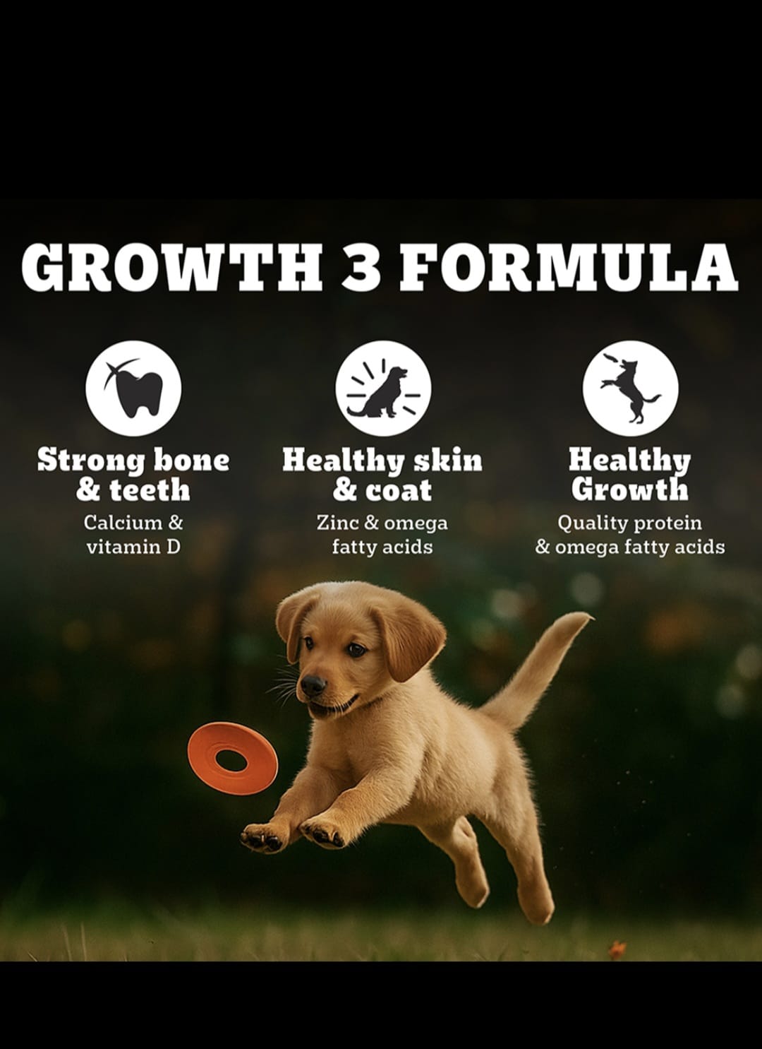 Pedigree Pro Puppy Large Breed Dog Dry Food