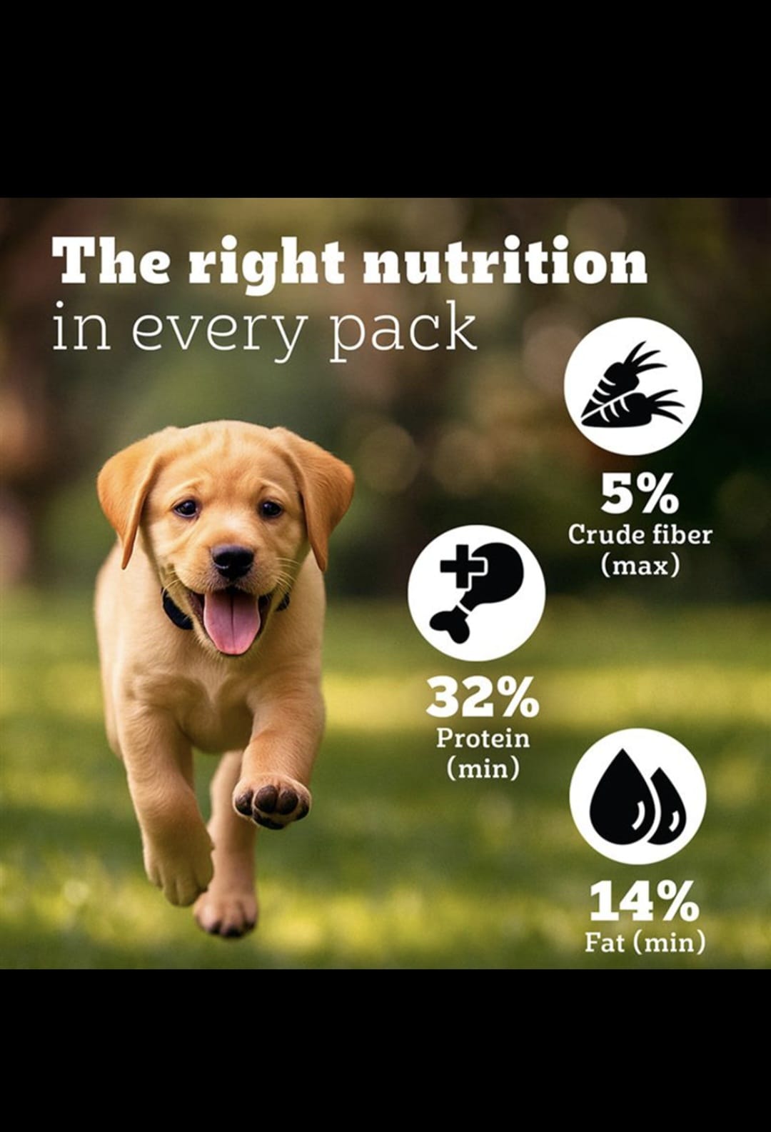 Pedigree Pro Puppy Large Breed Dog Dry Food