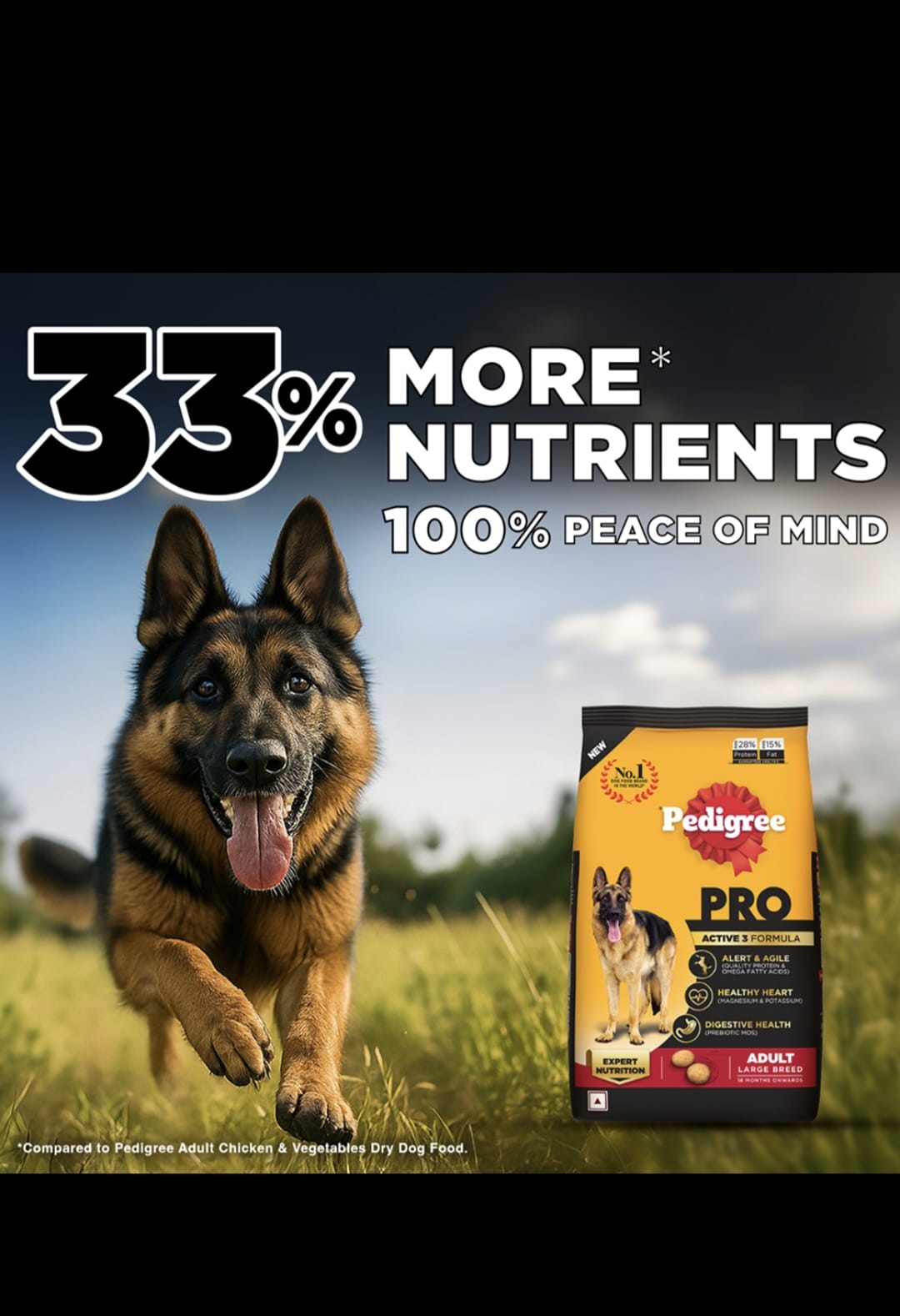 Pedigree Pro Adult Large Breed Dog Dry Food