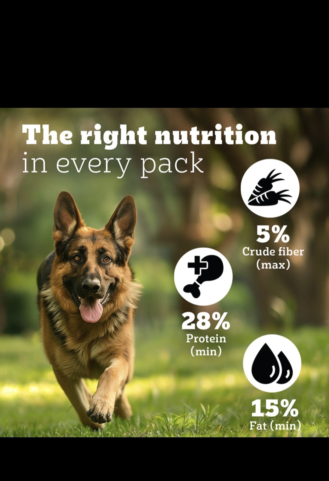 Pedigree Pro Adult Large Breed Dog Dry Food