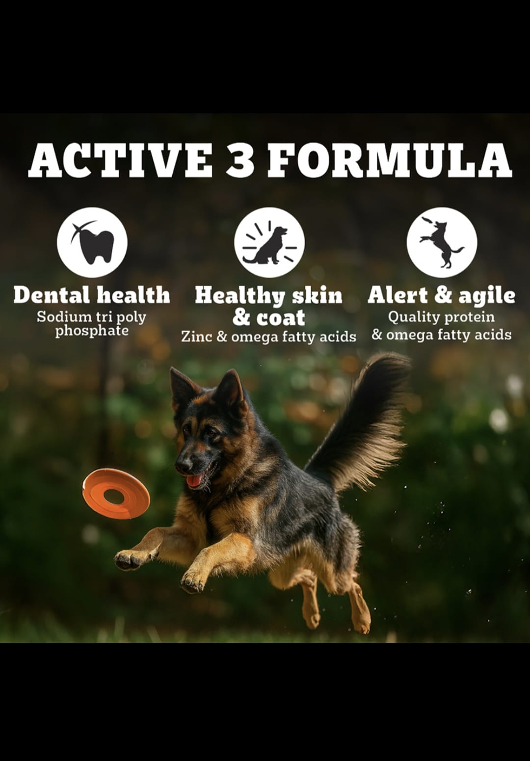 Pedigree Pro Adult Large Breed Dog Dry Food