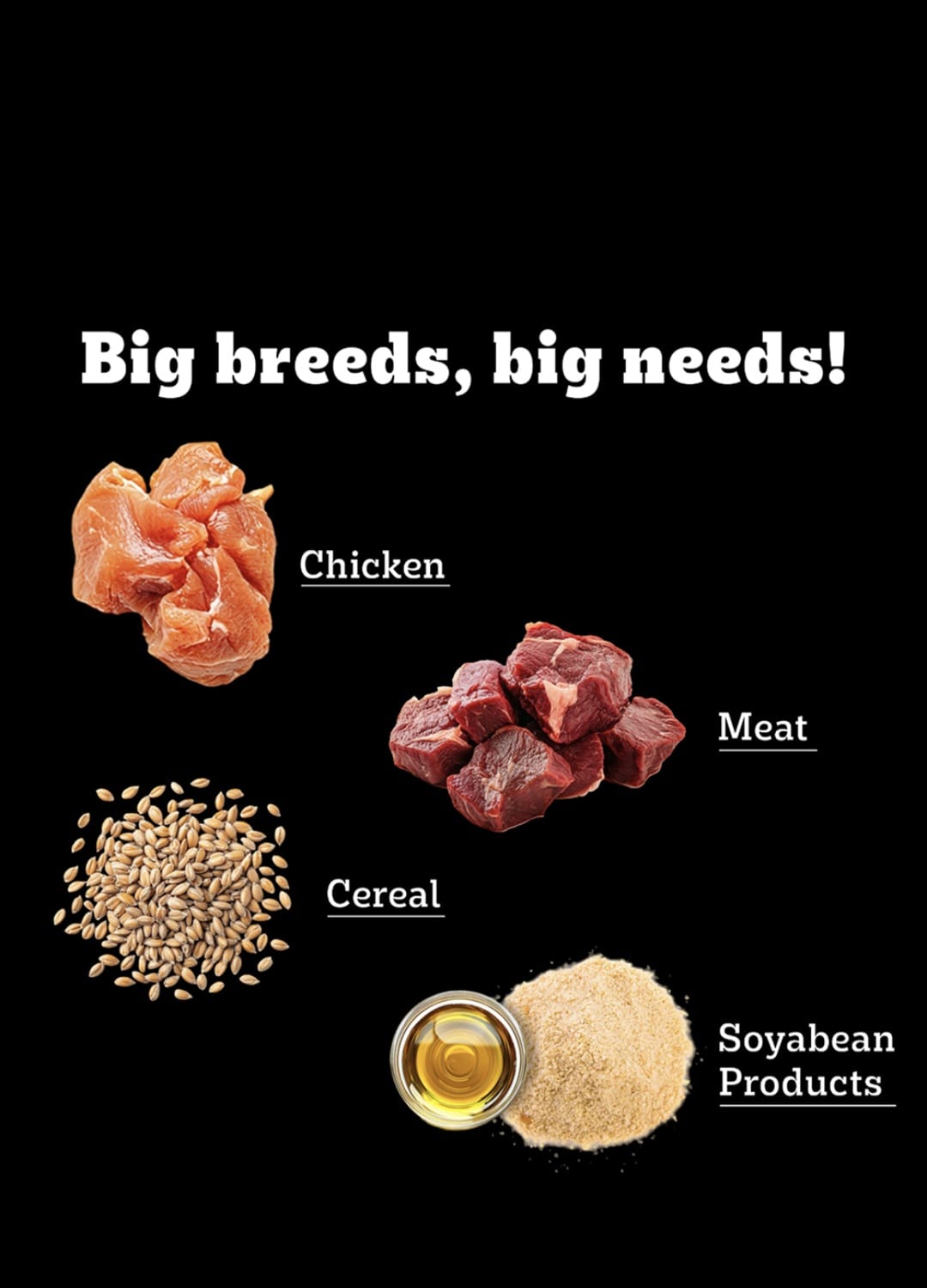 Pedigree Pro Adult Large Breed Dog Dry Food