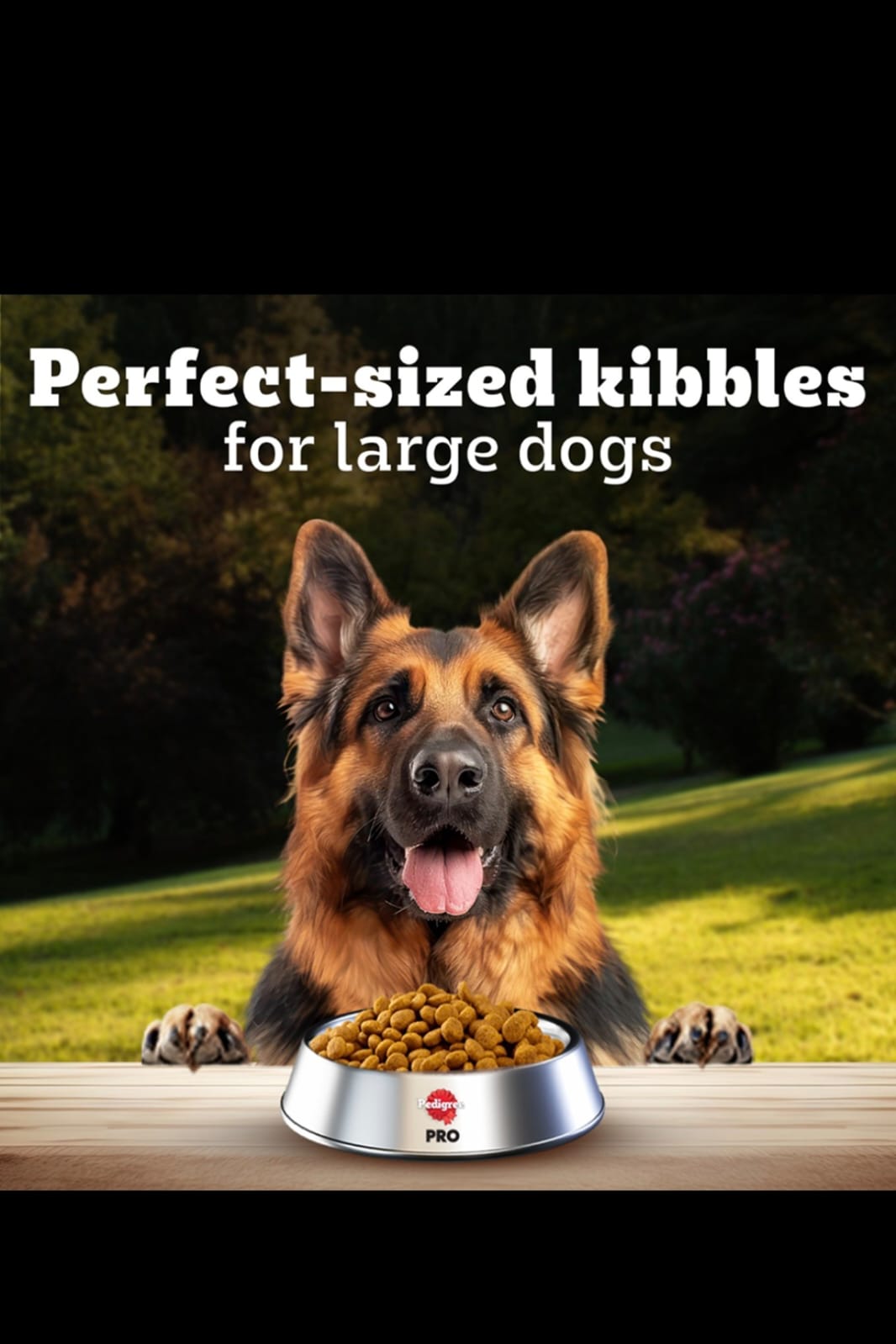 Pedigree Pro Adult Large Breed Dog Dry Food