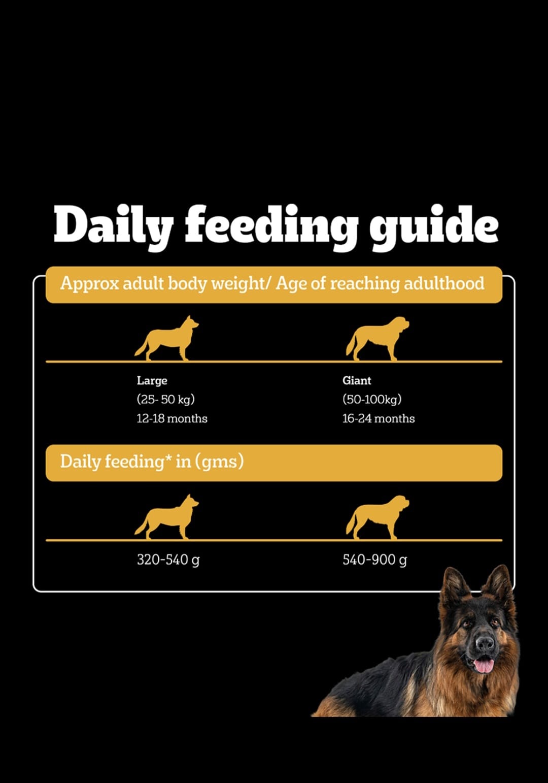 Pedigree Pro Adult Large Breed Dog Dry Food