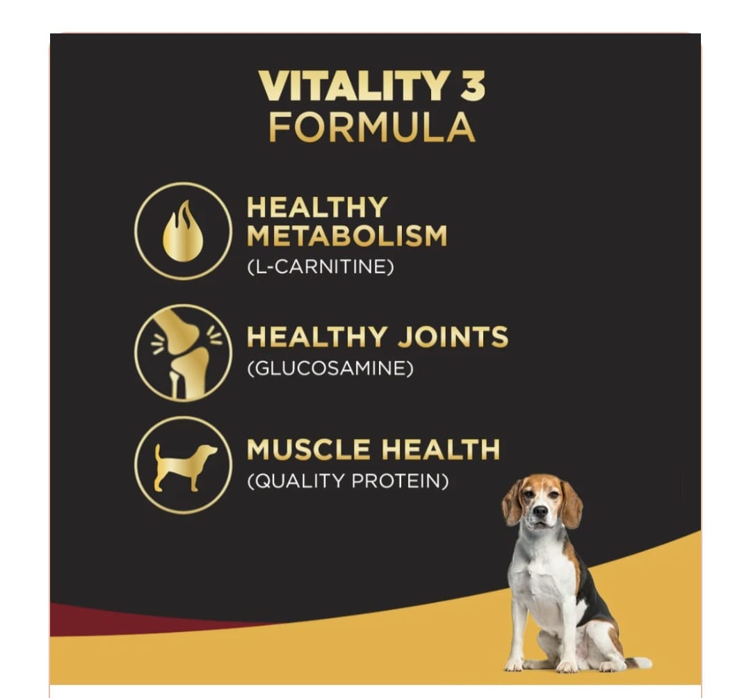 Pedigree Pro Senior 7 Year Onwards Dog Dry Food