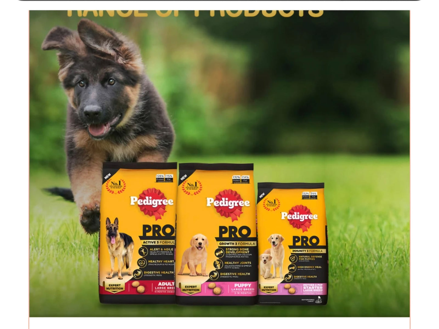 Pedigree Pro Senior 7 Year Onwards Dog Dry Food