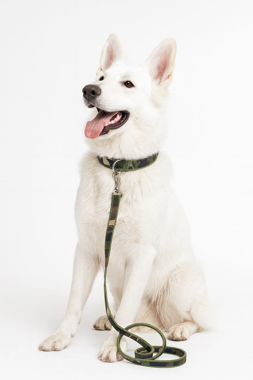 Dog Army Print Adjustable Coler and Lease for Messy and Large Breed Dog Neck Coler