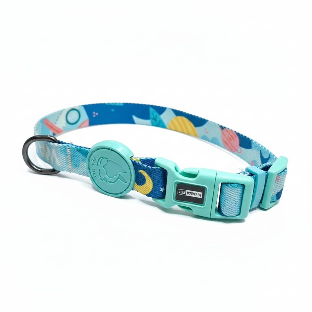 Printed Coler and Lease Set for Puppy and Small Bread Dogs