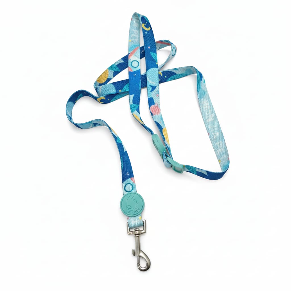 Printed Coler and Lease Set for Puppy and Small Bread Dogs