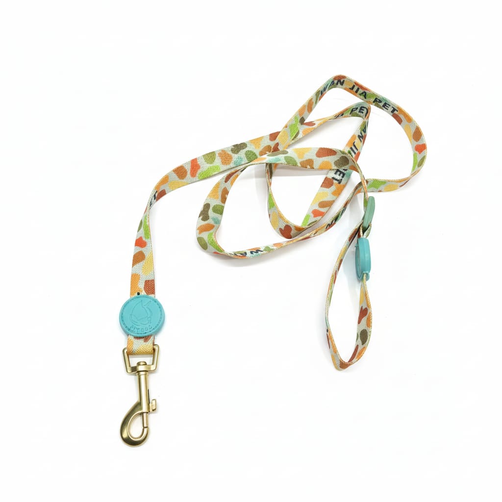 Printed Coler and Lease Set for Puppy and Small Bread Dogs