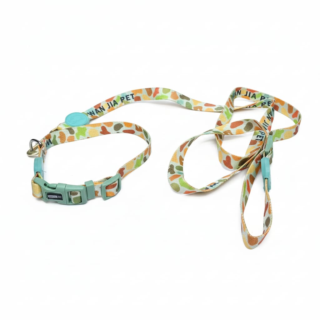 Printed Coler and Lease Set for Puppy and Small Bread Dogs