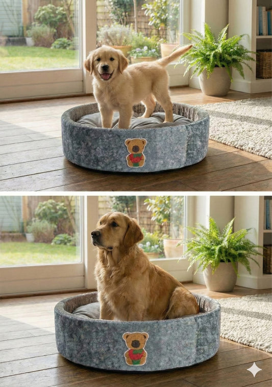 Cat and Dog Bed, Cozy and Comfortable, perfect for your Furry Friend, Big Size Bed (Blue and Grey Color with a Textured)