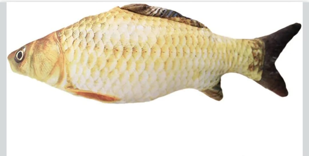 Electric Flopping Fish, Moving Cat Kicker Fish Toy, Floppy Fish Toy for Small Dogs Wiggle Fish Catnip Toys, Motion Kitten Toy Plush Interactive Cat Toys for Exercise, Mice Animal Toys,Chargeable