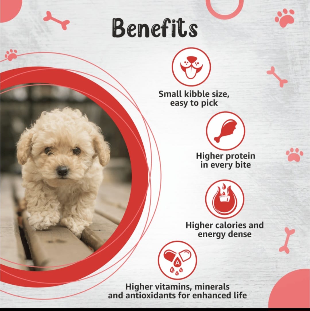 Drools Premium Small Bride Puppy Dog Dry Food