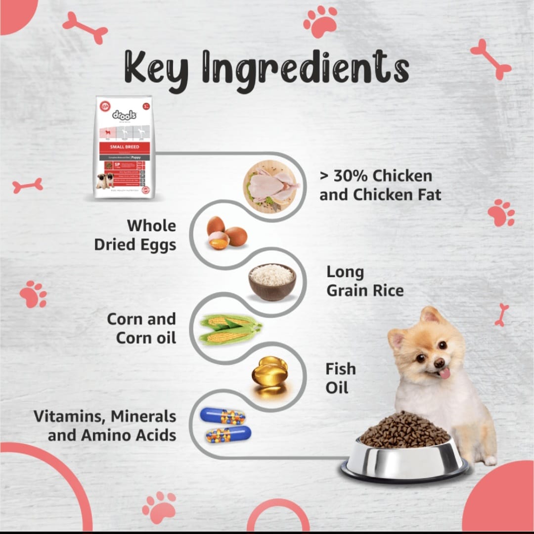 Drools Premium Small Bride Puppy Dog Dry Food