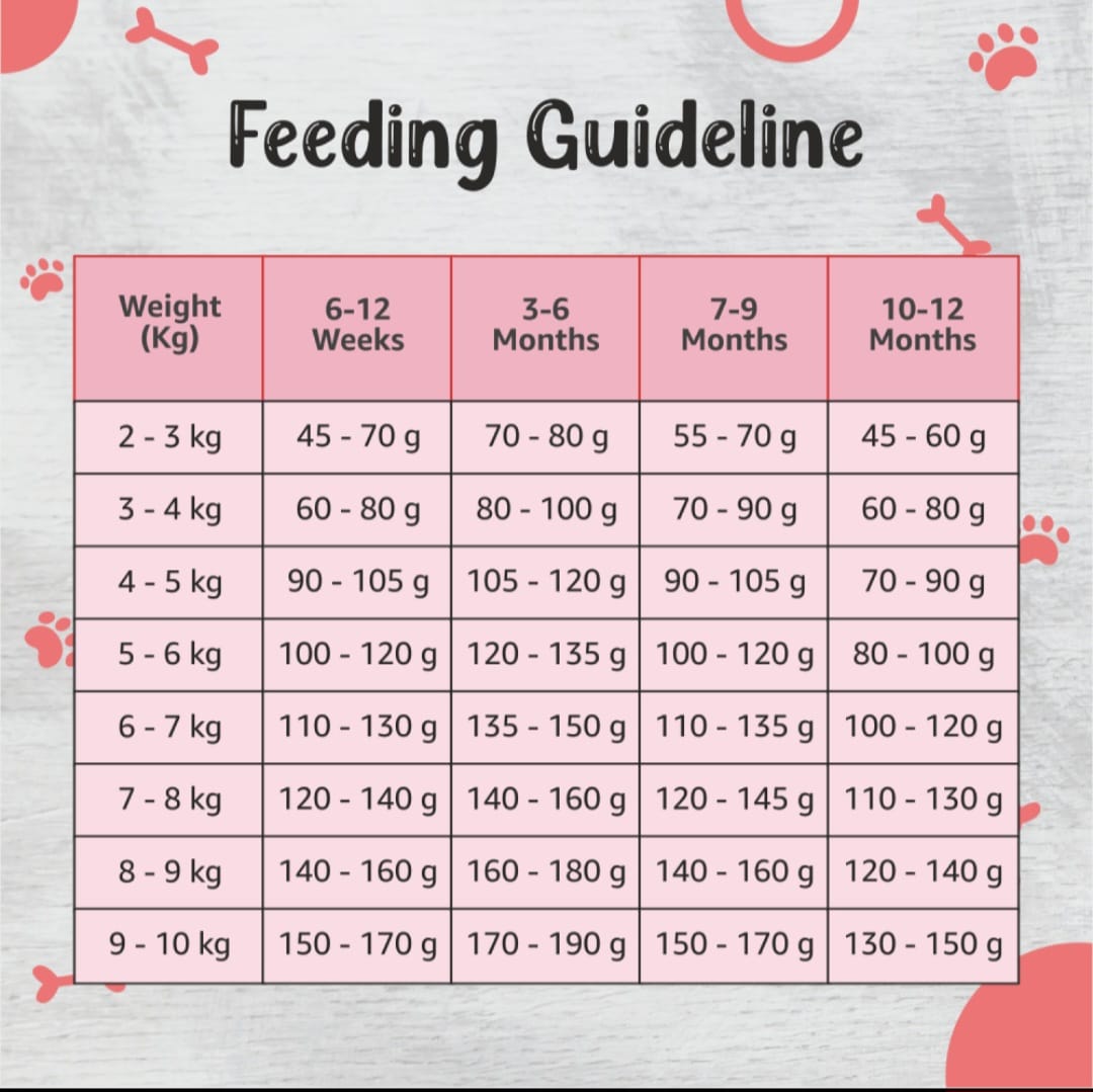 Drools Premium Small Bride Puppy Dog Dry Food