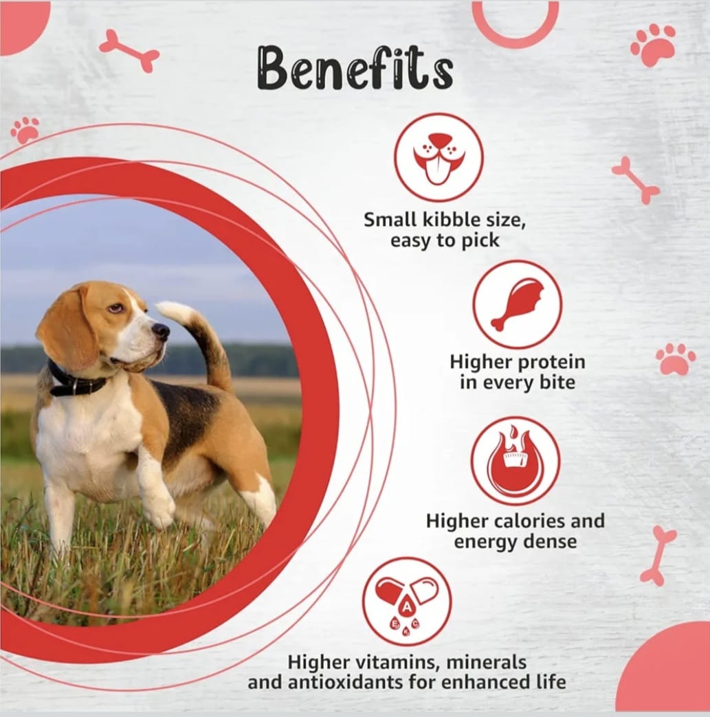 Drools Premium Small Bride Adult Dog Dry Food