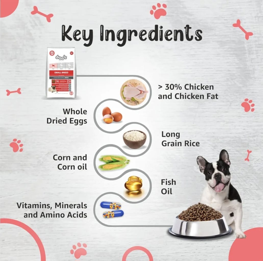 Drools Premium Small Bride Adult Dog Dry Food