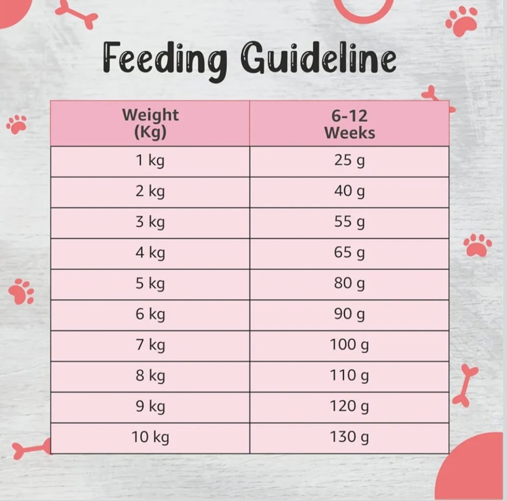 Drools Premium Small Bride Adult Dog Dry Food