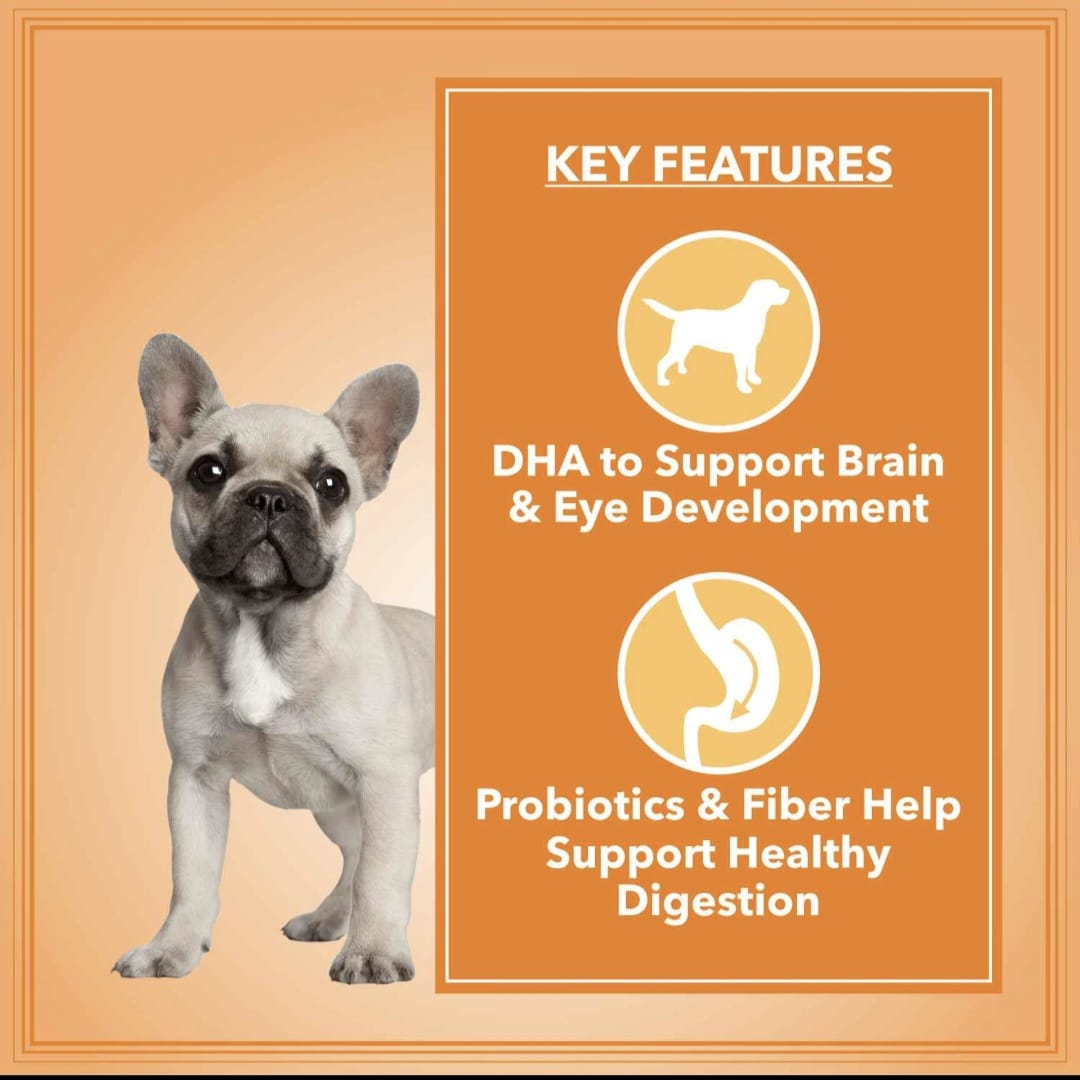 Drools Let's Bite Active Puppy Chicken Dry Food