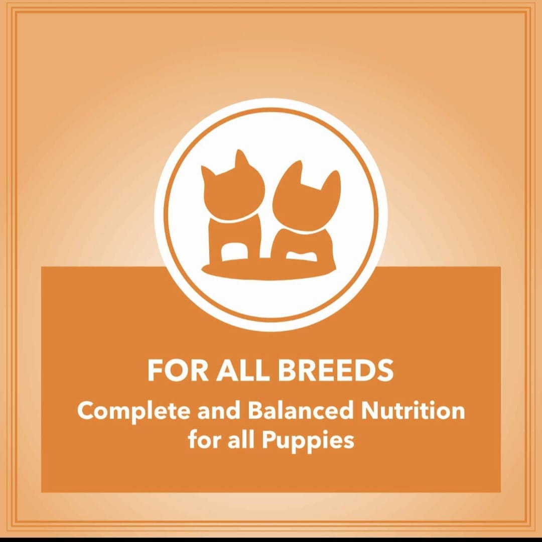 Drools Let's Bite Active Puppy Chicken Dry Food