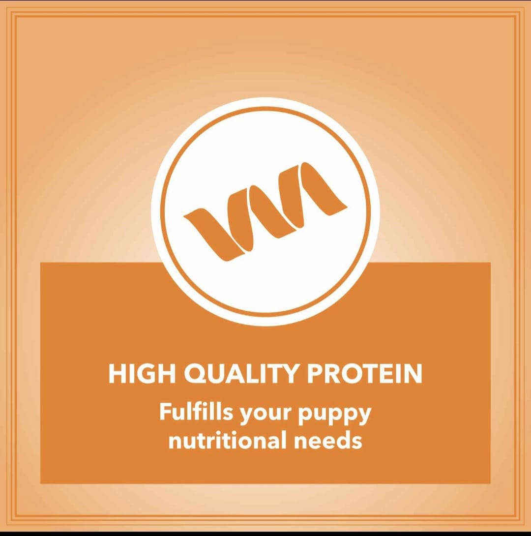 Drools Let's Bite Active Puppy Chicken Dry Food