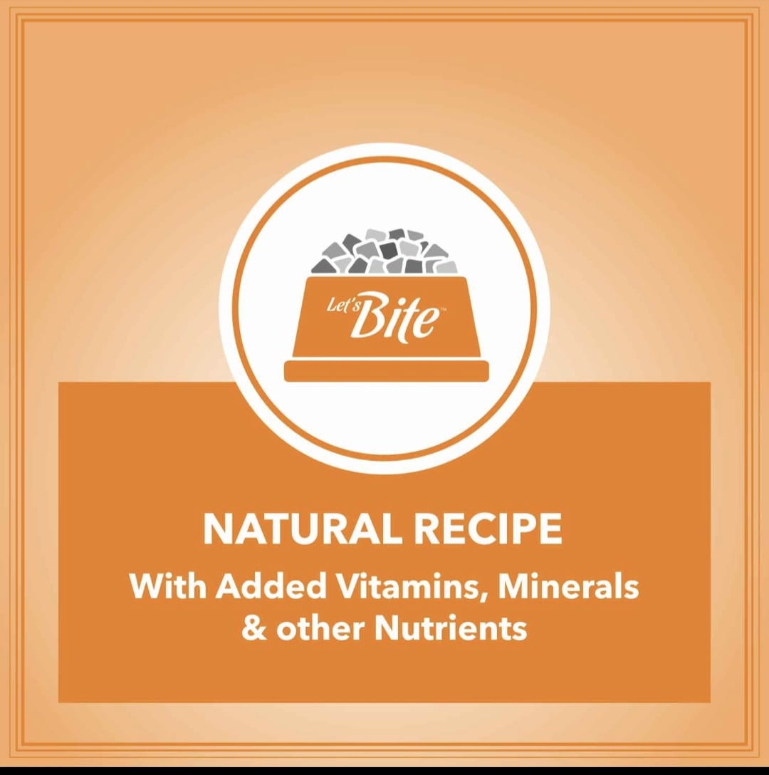 Drools Let's Bite Active Puppy Chicken Dry Food