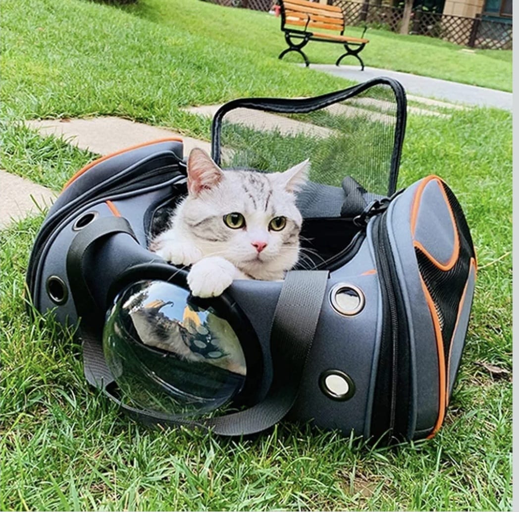 Dogs And Cat Shoulder Travel Bag Cat Dog Carrying Bag Pet Carrier Bag Soft Breathable Small Pet Handbag Cat Backpack(Orange)