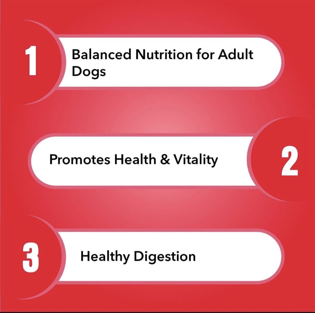 Purepet Meat and Rice Adult dog Dry Food