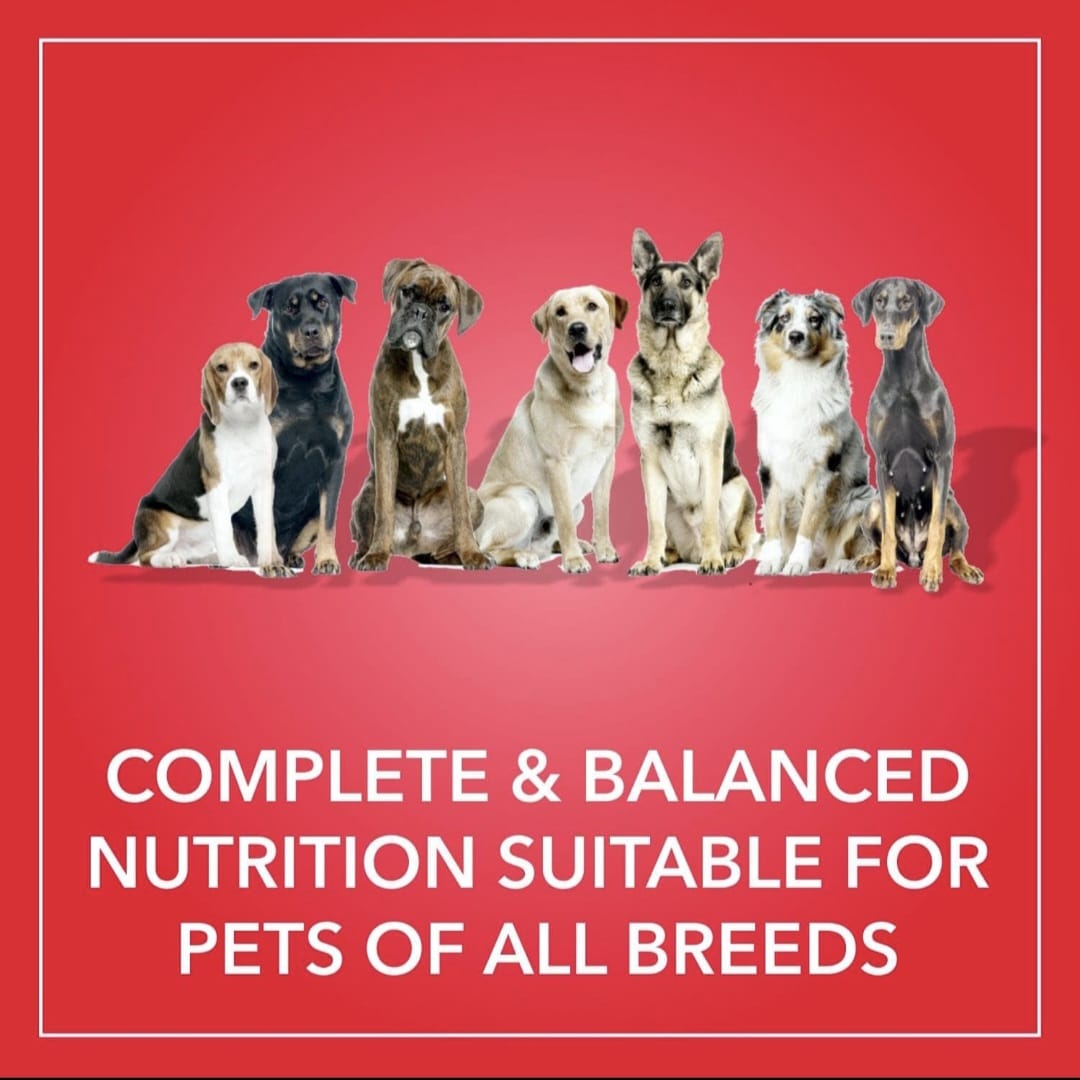 Purepet Meat and Rice Adult dog Dry Food