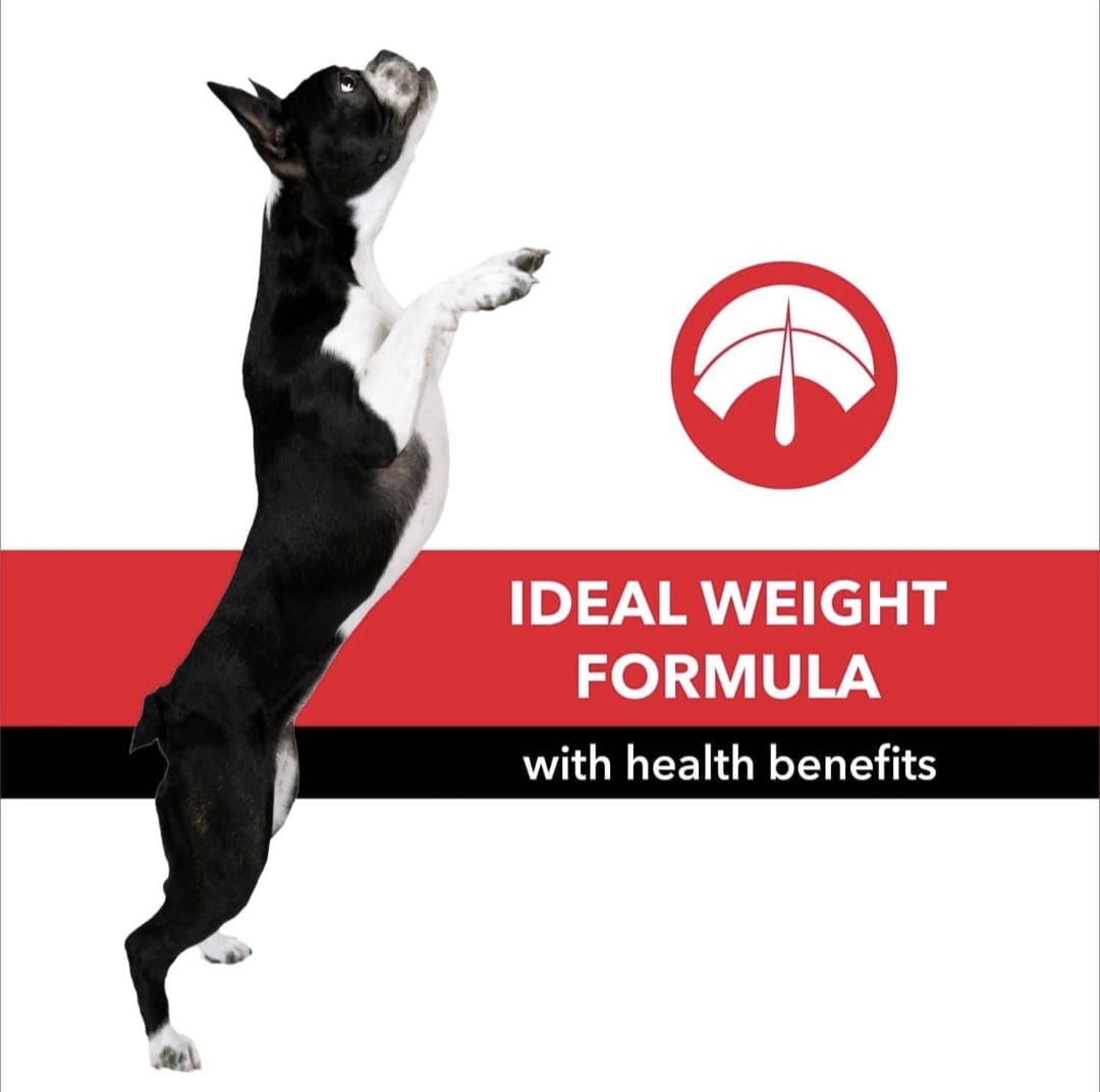 Purepet Meat and Rice Adult dog Dry Food