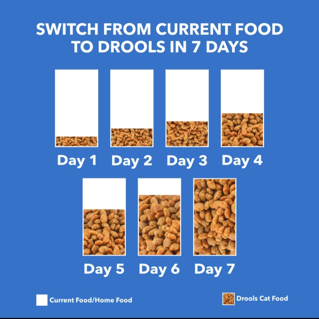 Drools Real Chicken Adult Cat Dry Food