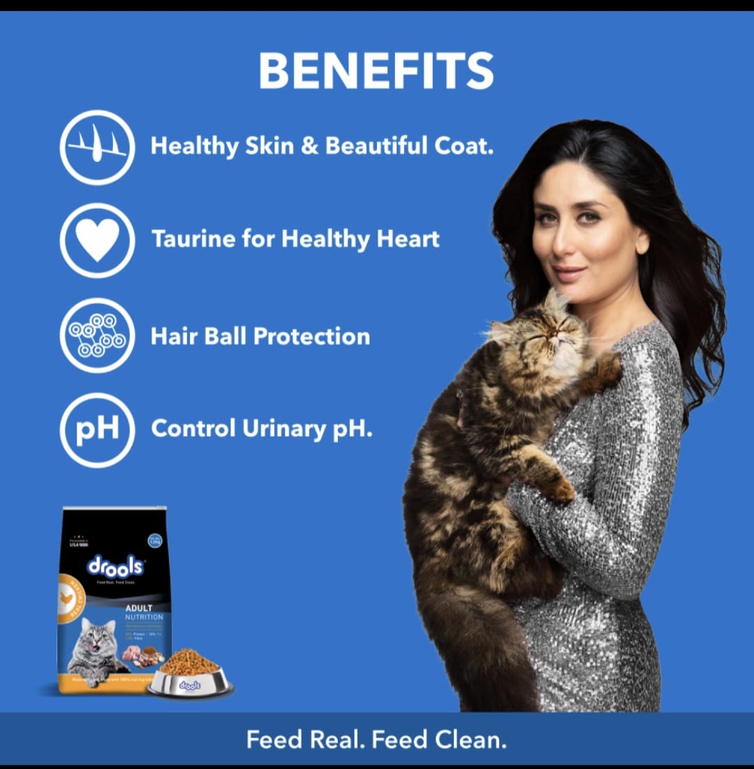 Drools Real Chicken Adult Cat Dry Food