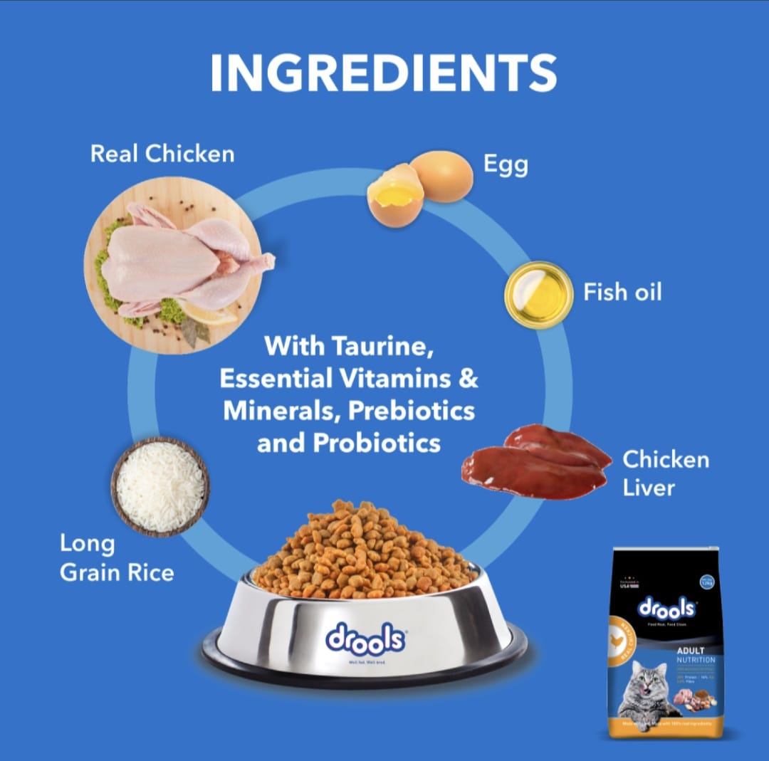 Drools Real Chicken Adult Cat Dry Food