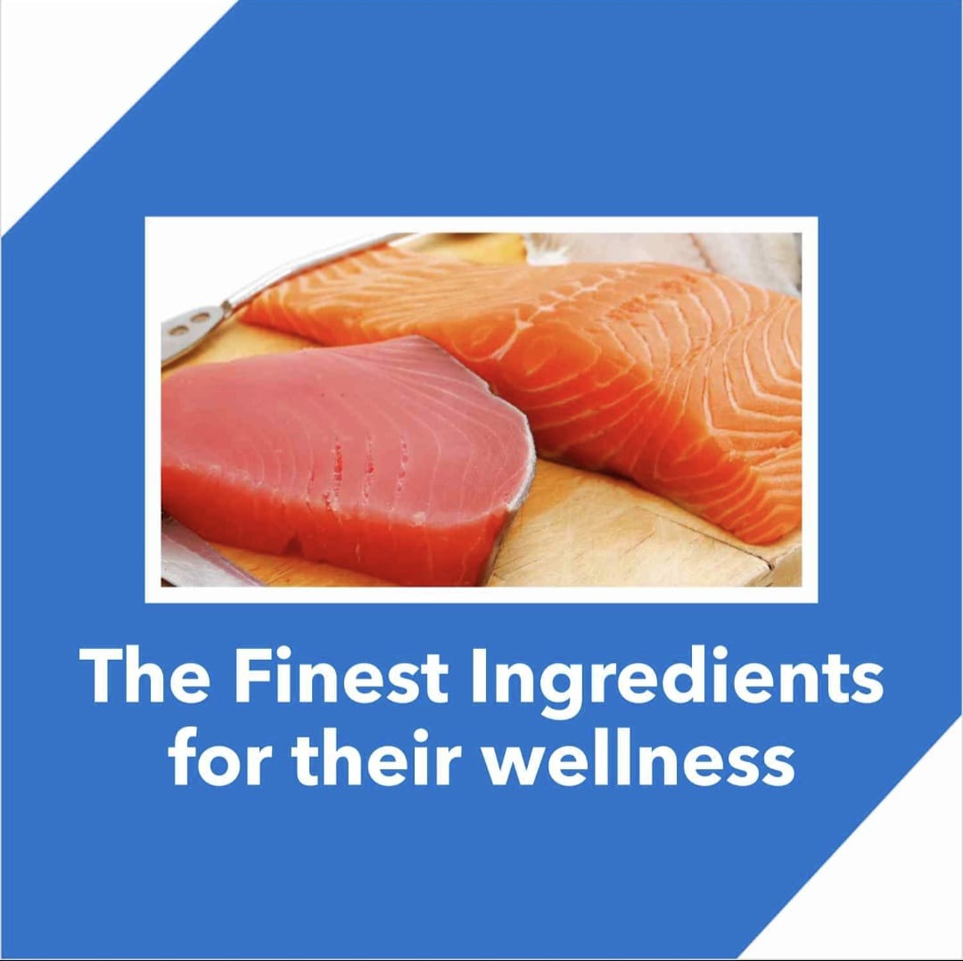 Drools Tuna and Salmon Adult Cat Dry Food