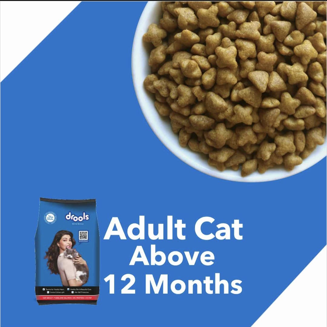 Drools Tuna and Salmon Adult Cat Dry Food