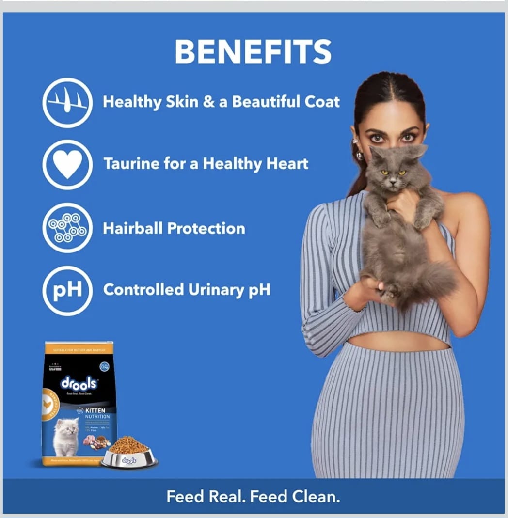 Drools Real Chicken Kitten Dry food