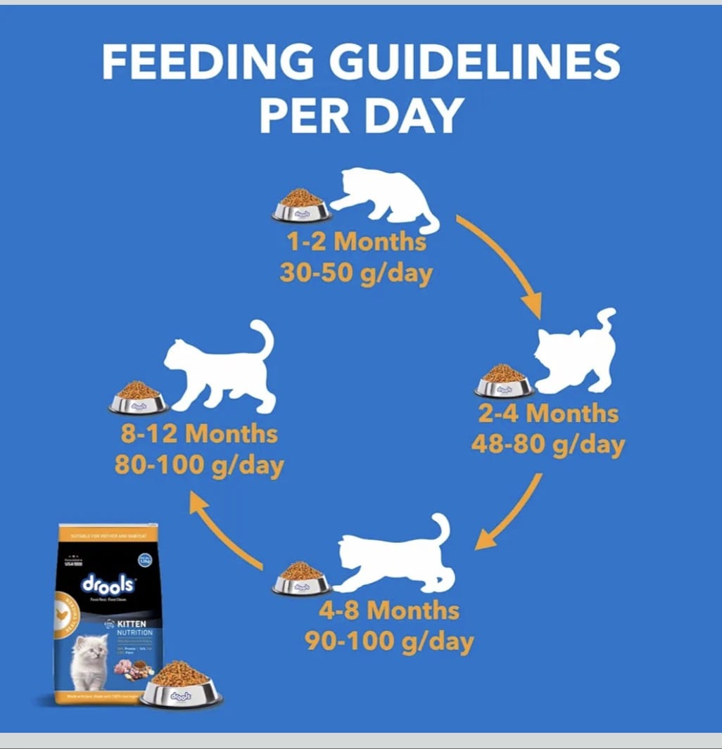 Drools Real Chicken Kitten Dry food