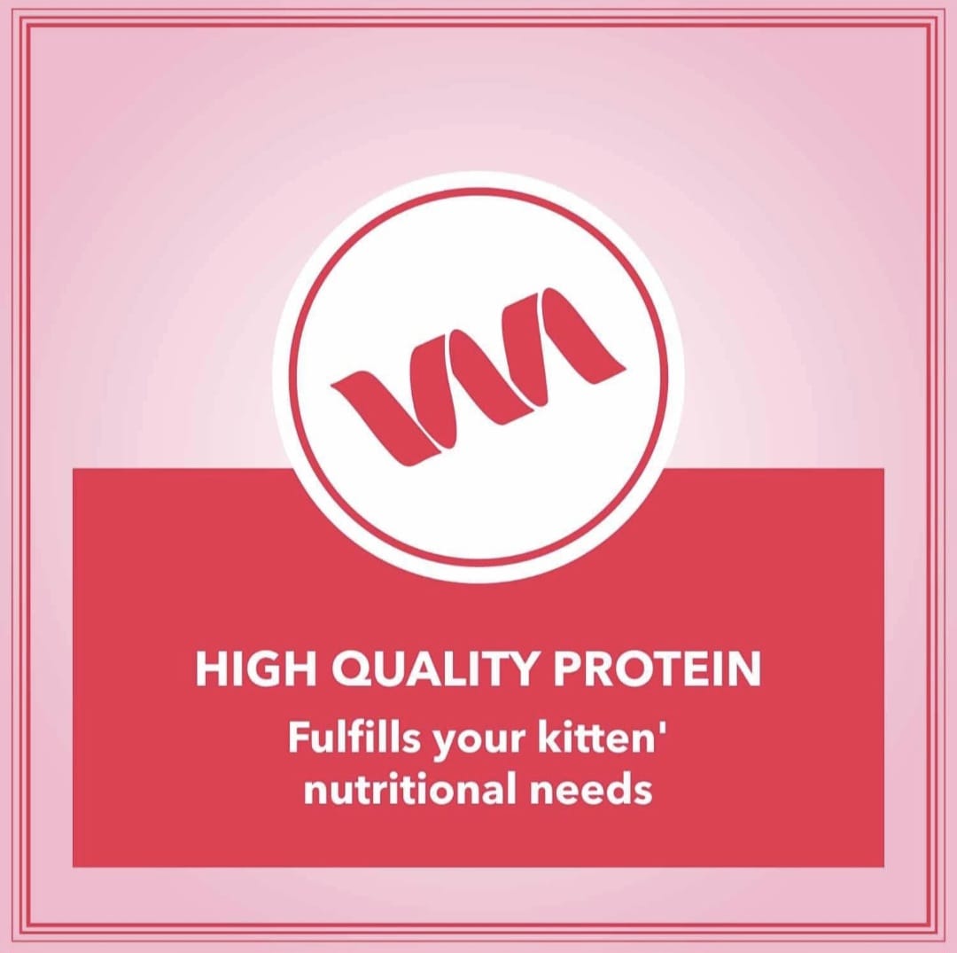 Let's Bite Active Adult Ocean Fish Cat Dry Food