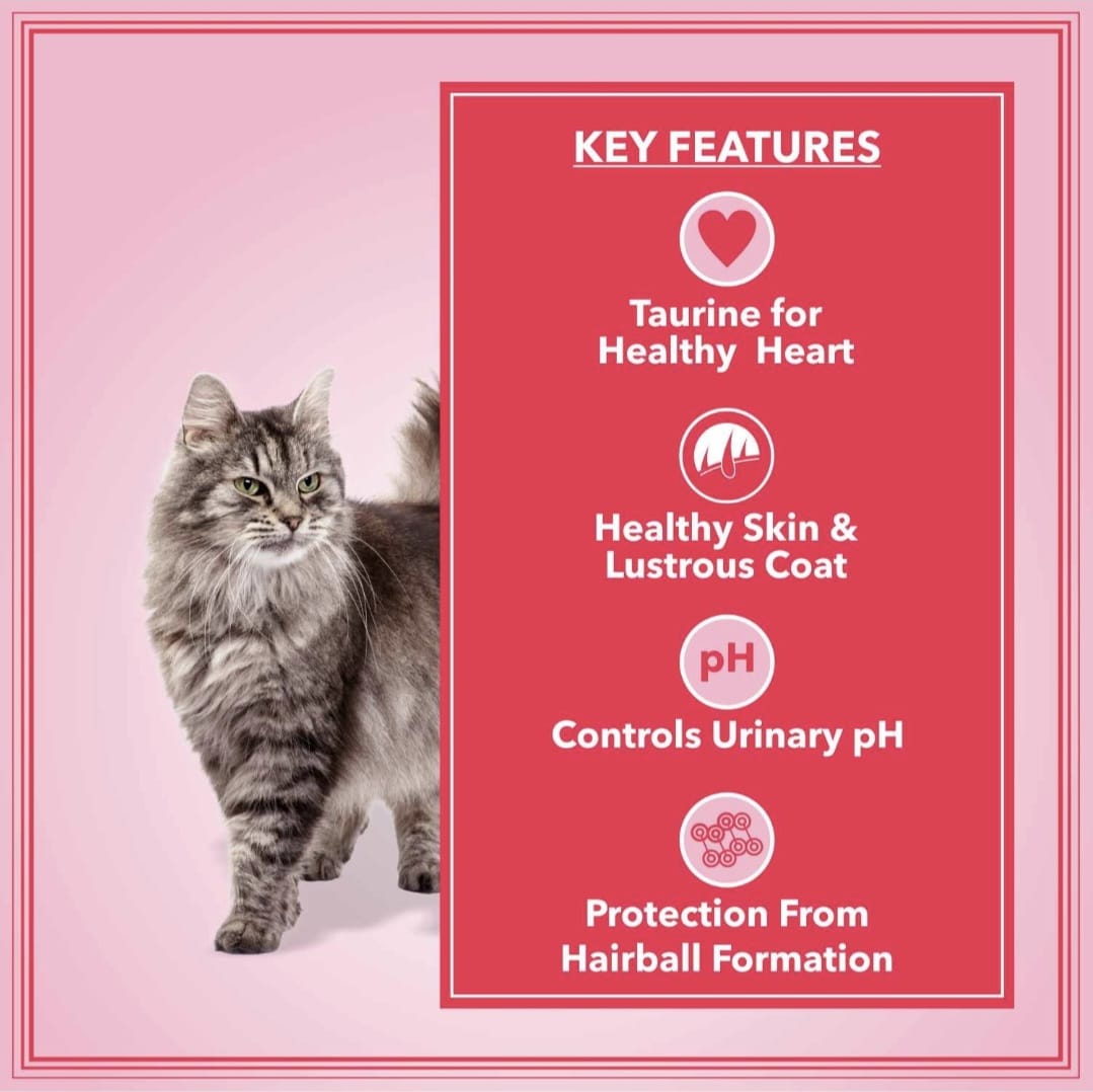 Let's Bite Active Adult Ocean Fish Cat Dry Food