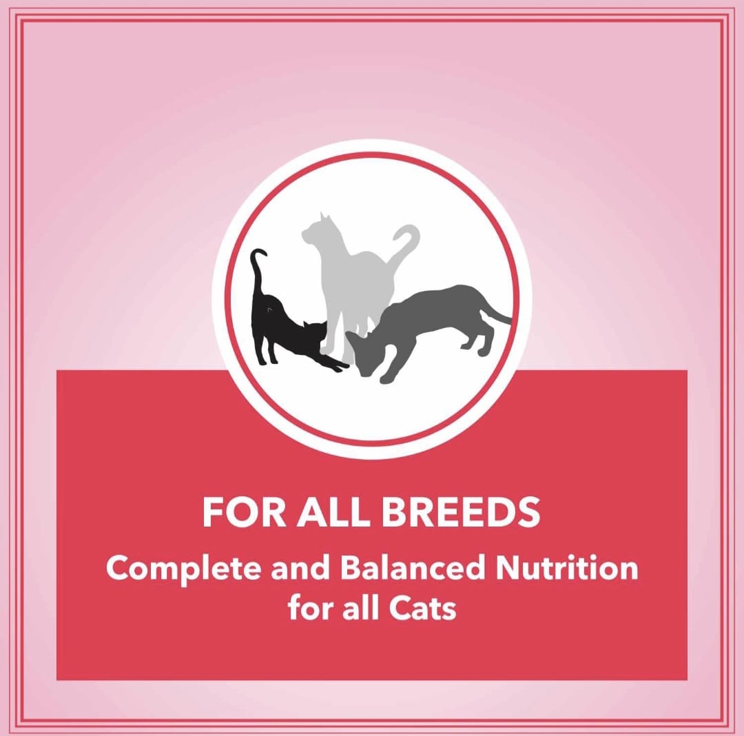 Let's Bite Active Adult Ocean Fish Cat Dry Food