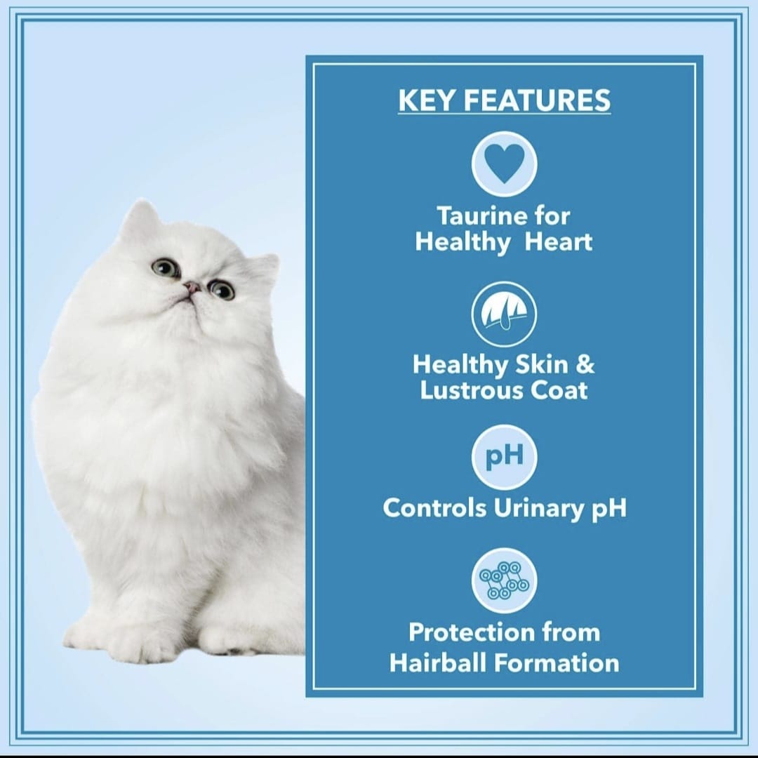 Let's Bite Active Persian Ocean Fish Cat Dry Food(Buy 1 Get 1 Free)