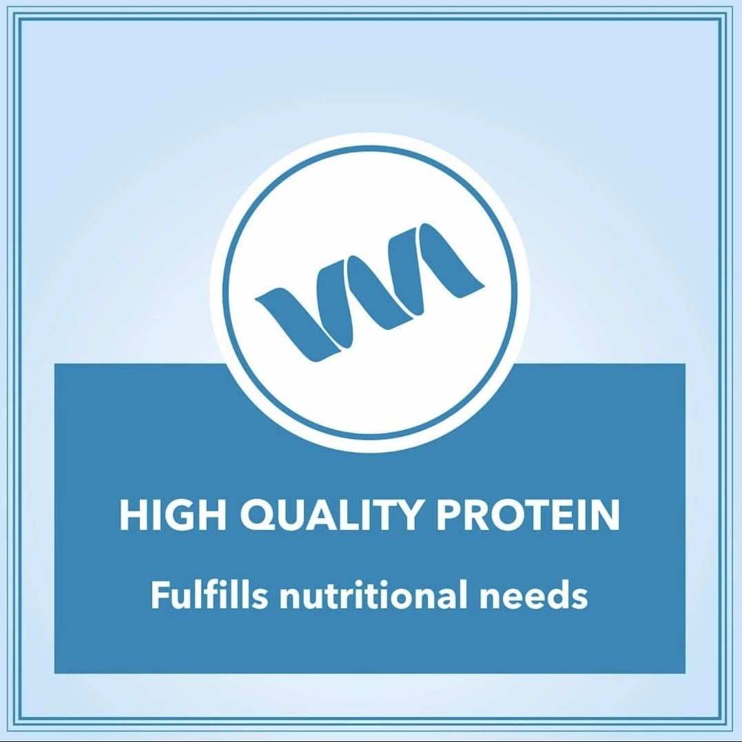 Let's Bite Active Persian Ocean Fish Cat Dry Food(Buy 1 Get 1 Free)